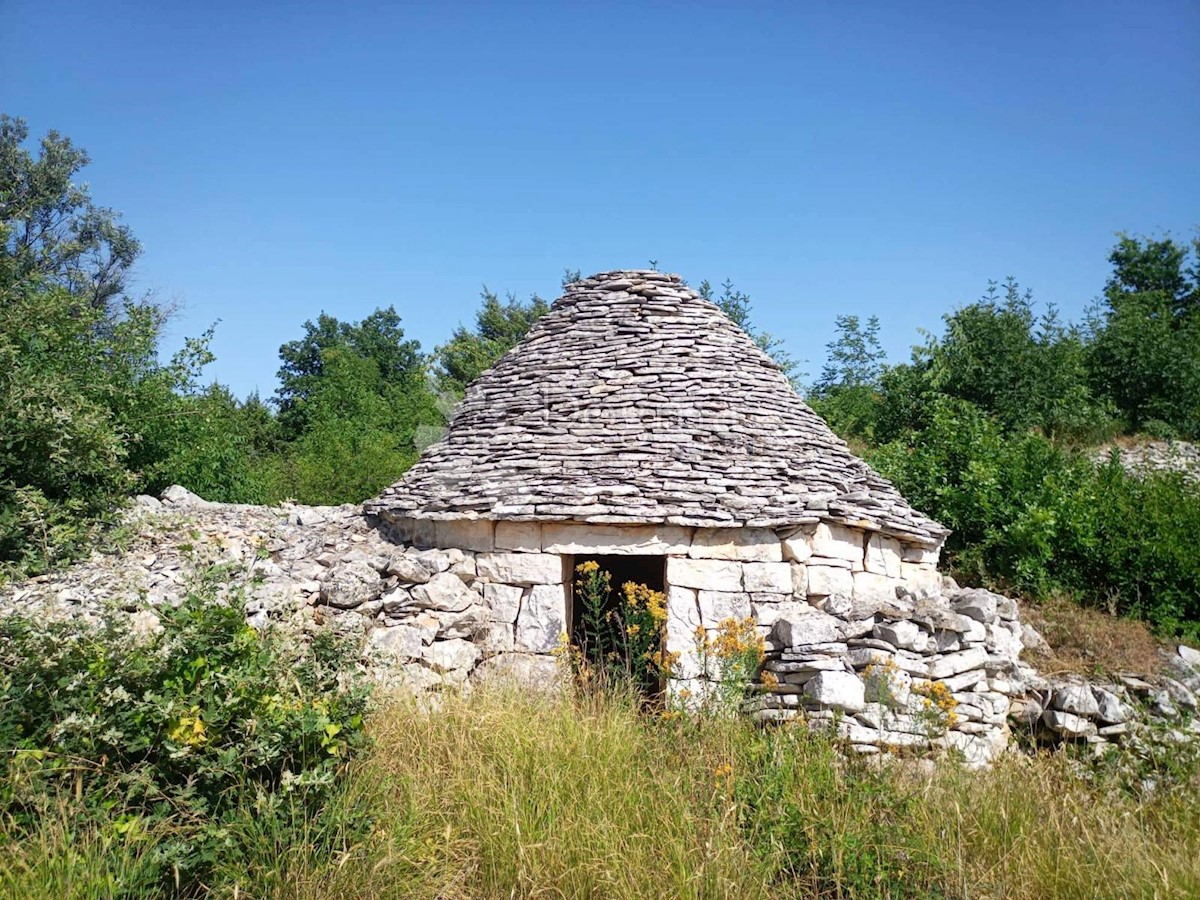 Terreno Gajana, Vodnjan, 3.818m2