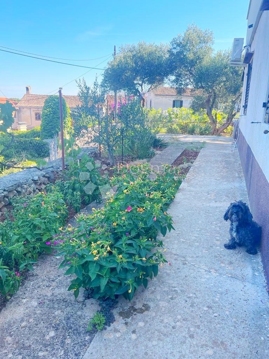 Casa Veli Lošinj, Mali Lošinj, 340m2