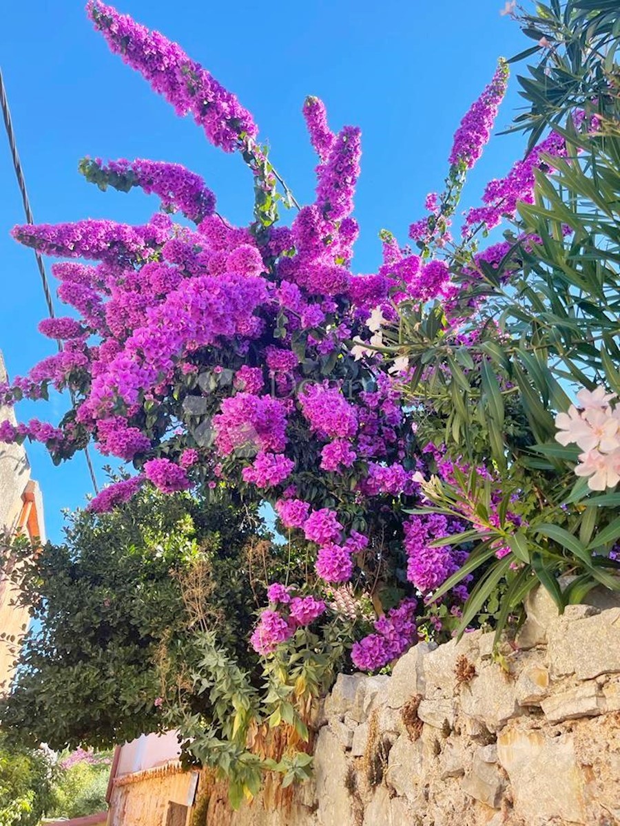 Casa Veli Lošinj, Mali Lošinj, 340m2