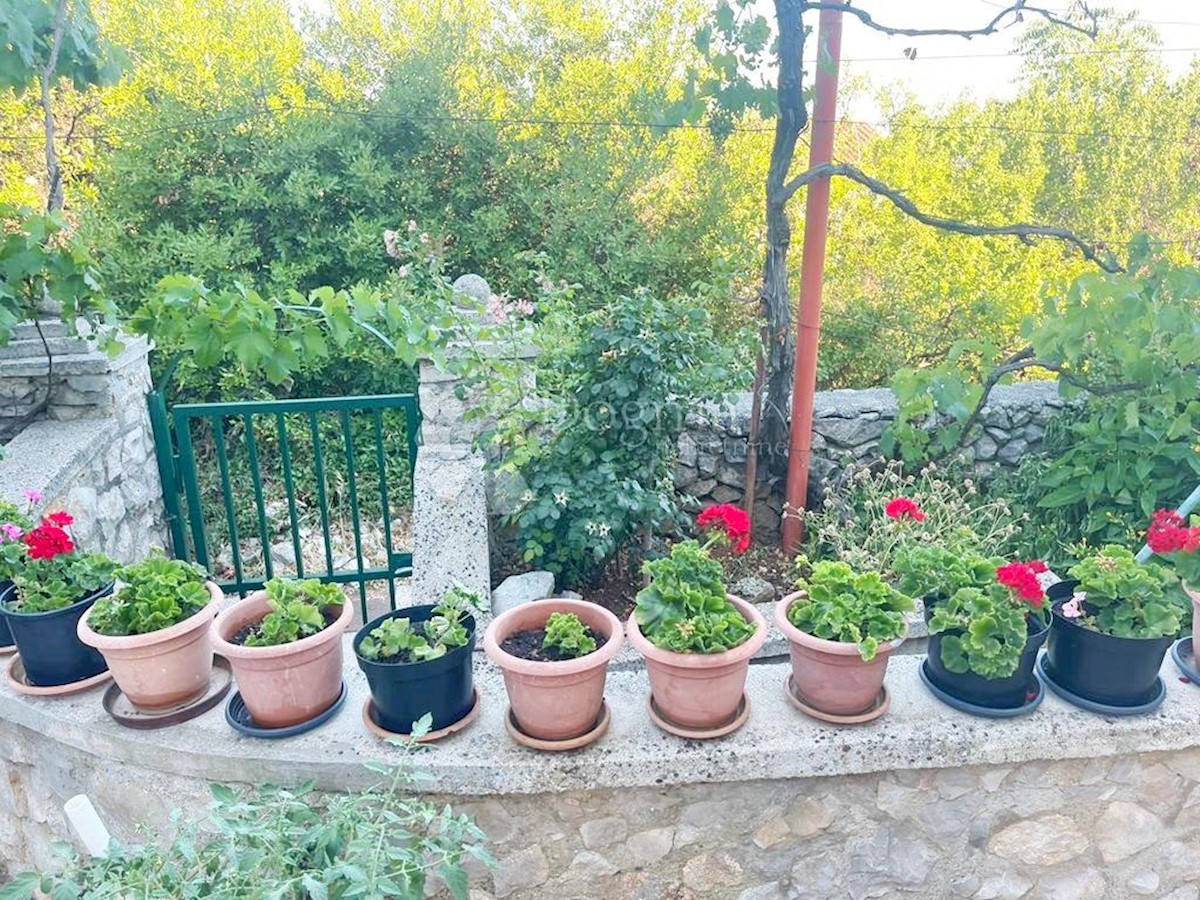 Casa Veli Lošinj, Mali Lošinj, 340m2