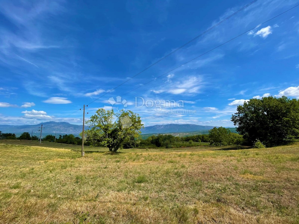 Terreno Pićan, 11.584m2