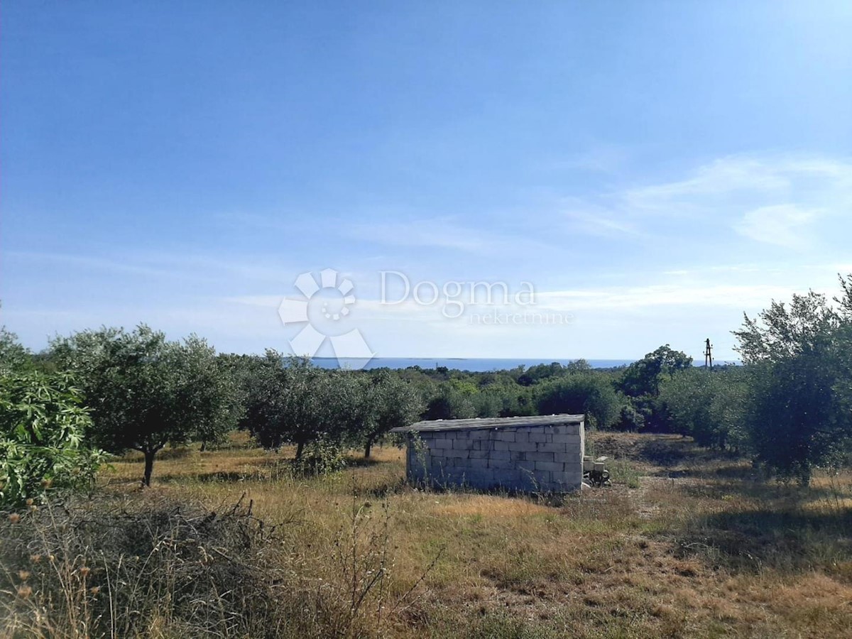 Esclusivo! Terreno agricolo con vista mare