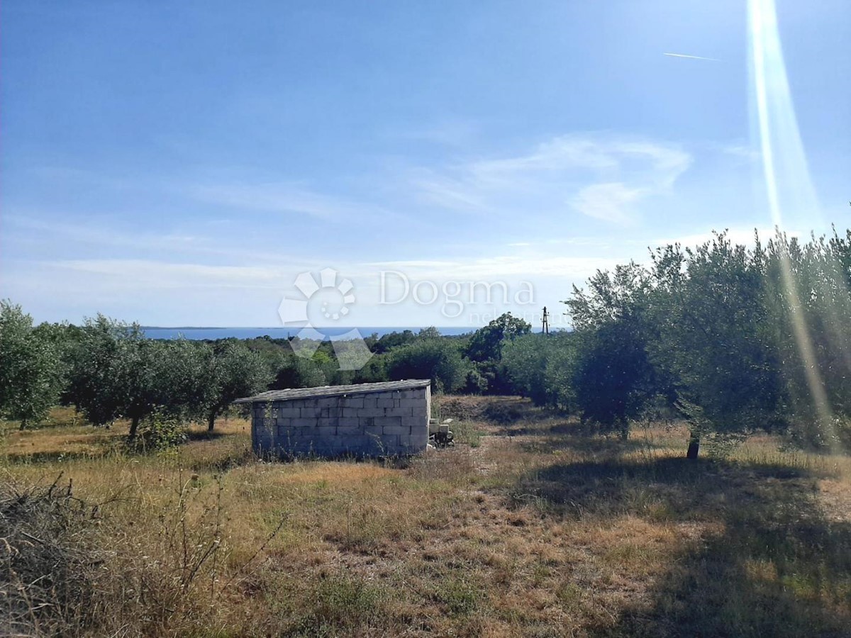 Esclusivo! Terreno agricolo con vista mare