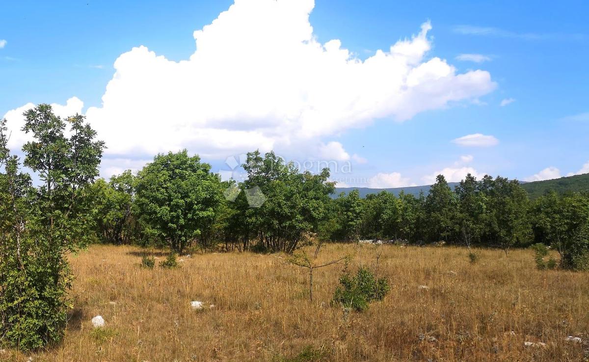 Terreno Prisoje, Dicmo, 10.682m2