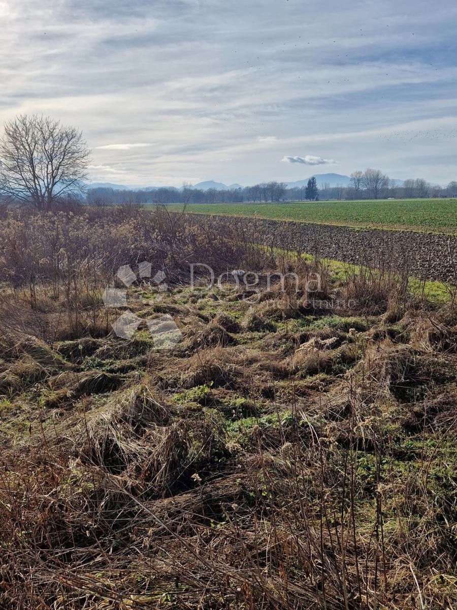 Terreno Biškupec, Varaždin, 5.410m2