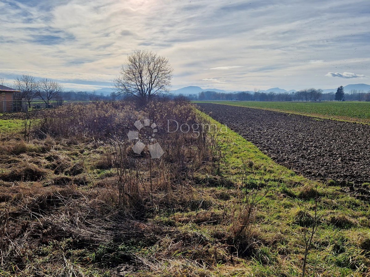 Terreno Biškupec, Varaždin, 5.410m2