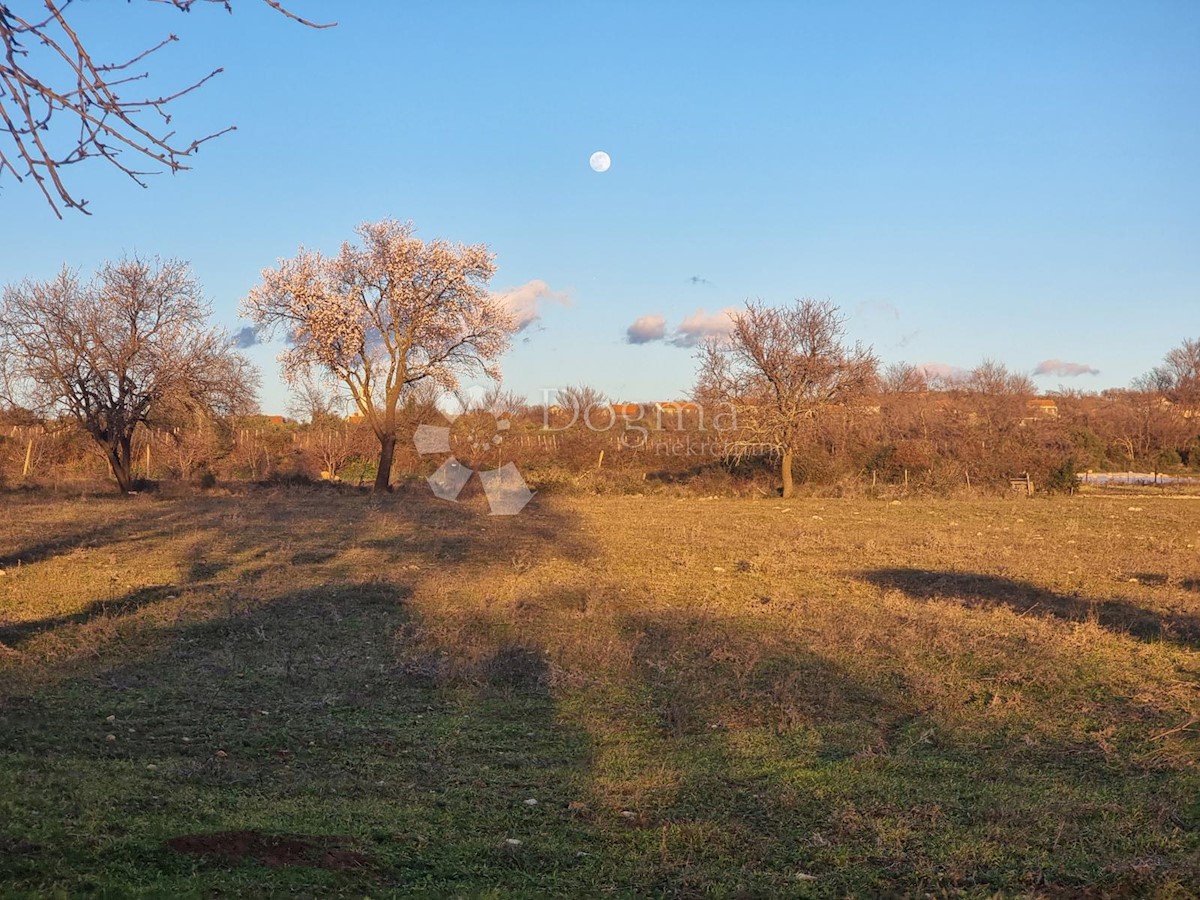 Terreno Lišane Tinjske, Benkovac, 8.221m2