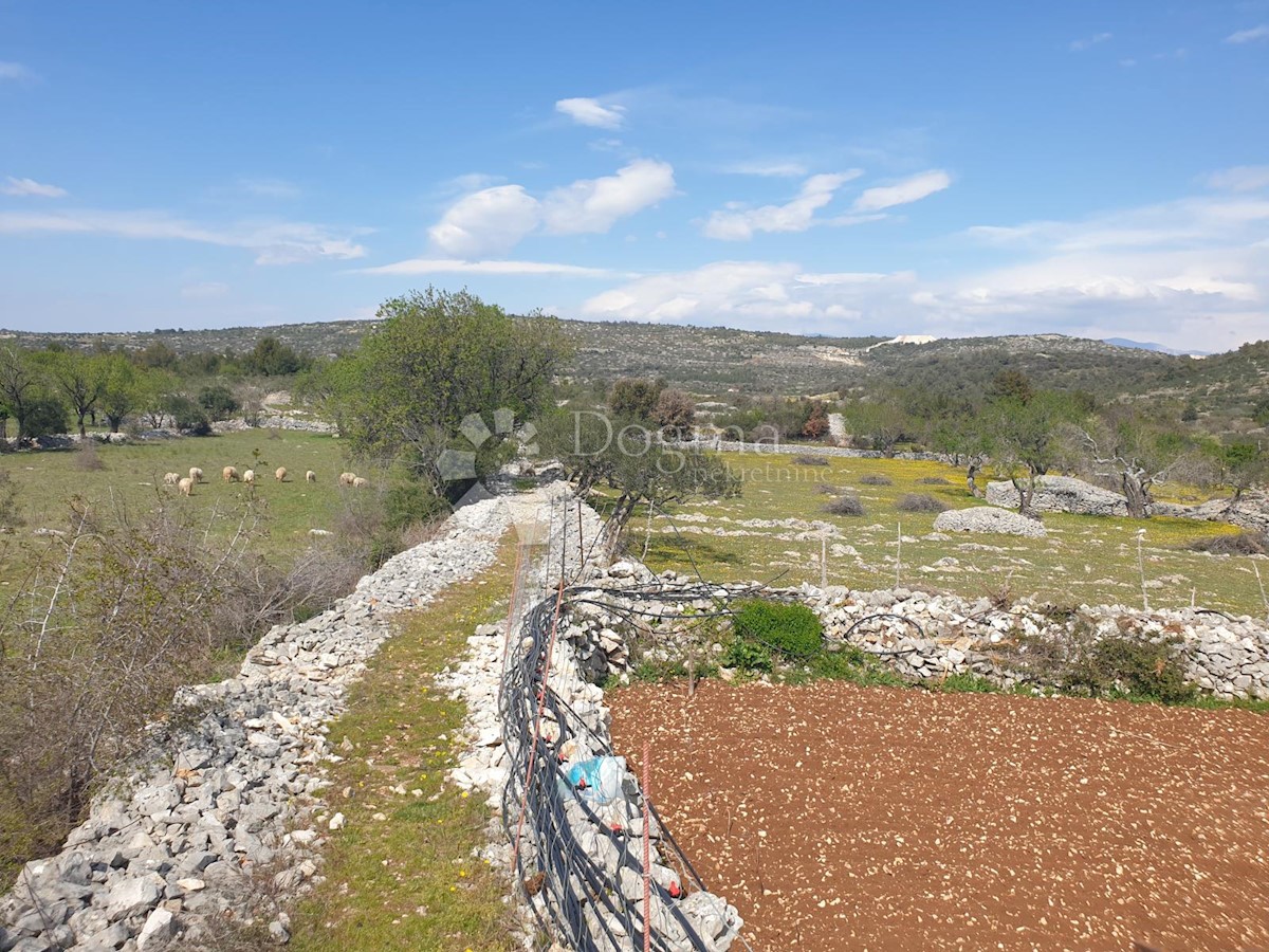 Terreno Dračevica, Nerežišća, 3.158m2