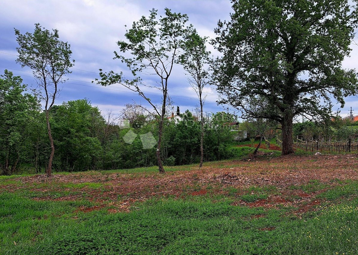 Terreno Rakotule, Karojba, 1.942m2