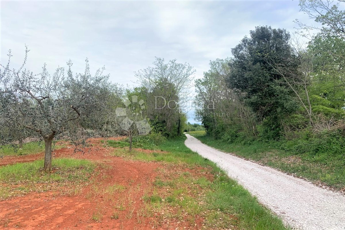 Terreno Vižinada, 5.832m2