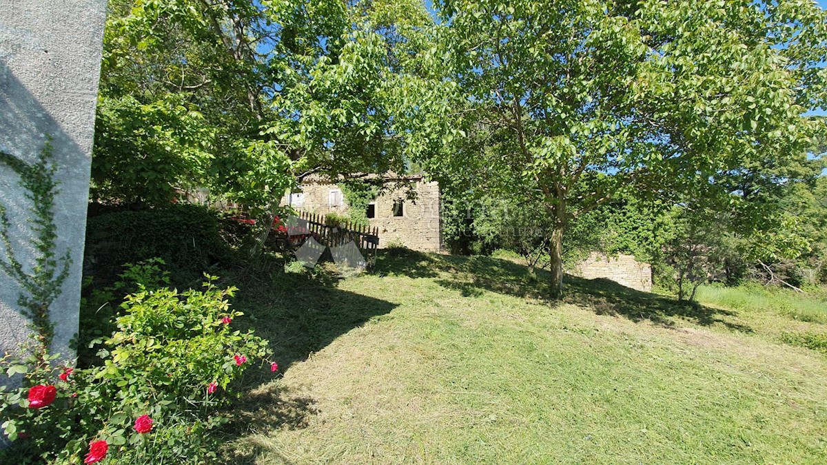 Casa Kosoriga, Buzet, 3.718m2