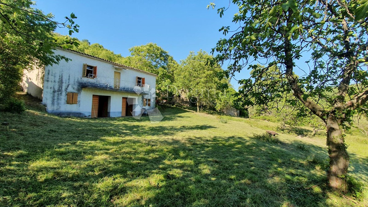 Casa Kosoriga, Buzet, 3.718m2