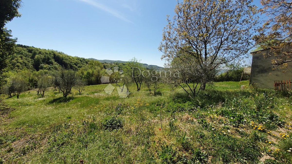 Casa Kosoriga, Buzet, 3.718m2