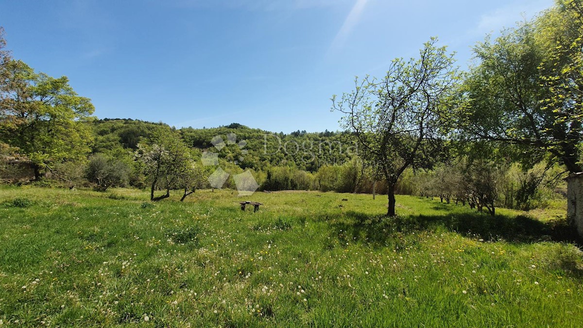 Casa Kosoriga, Buzet, 3.718m2