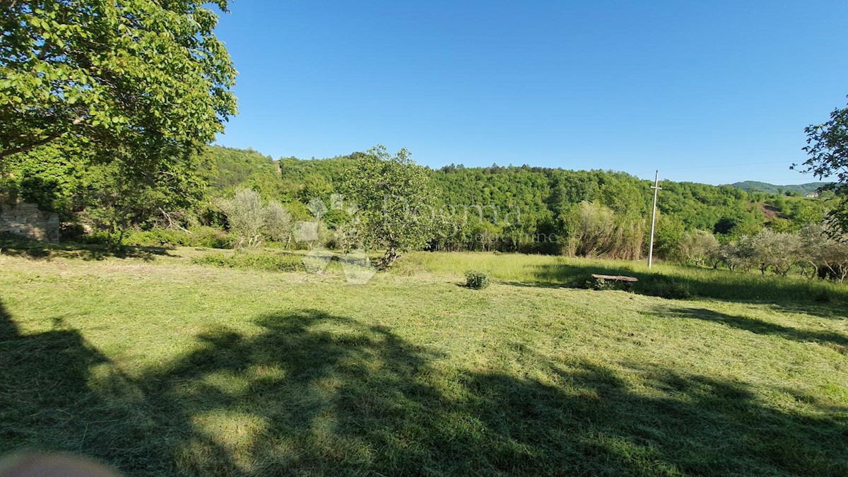 Casa Kosoriga, Buzet, 3.718m2