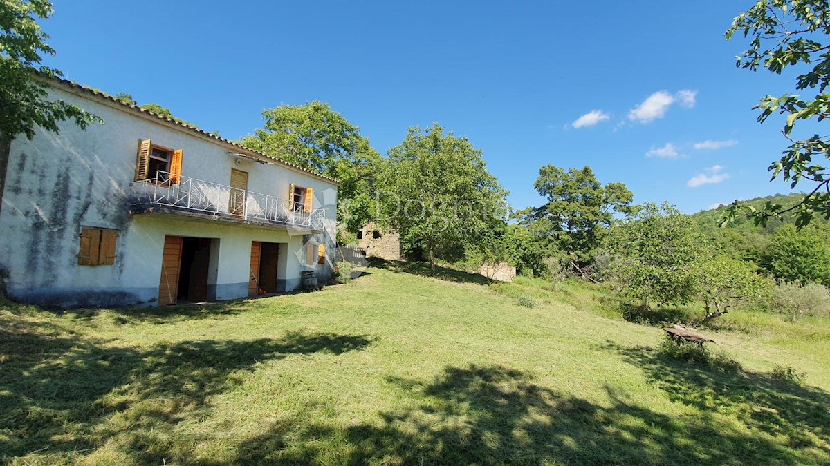 Casa Kosoriga, Buzet, 3.718m2