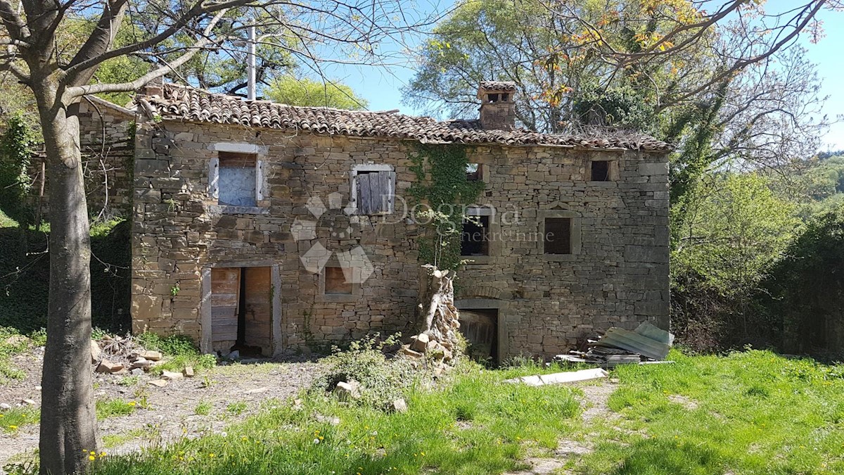 Casa Kosoriga, Buzet, 3.718m2