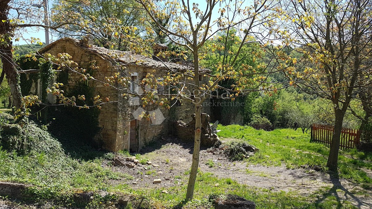 Casa Kosoriga, Buzet, 3.718m2