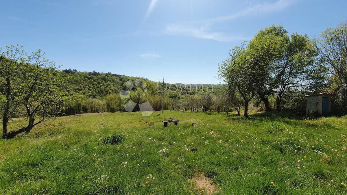 Casa Kosoriga, Buzet, 3.718m2