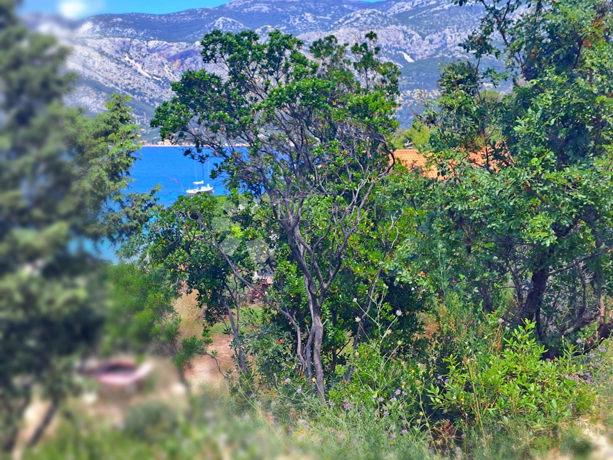 Terreno Korčula, 11.600m2