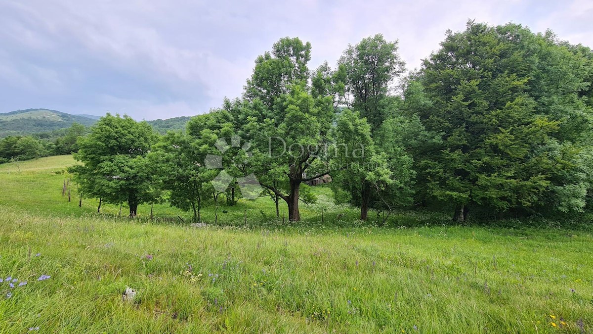 Terreno edificabile 4000m2 con edifici tracciati vicino a Risnjak e al Parco Nazionale di Platak