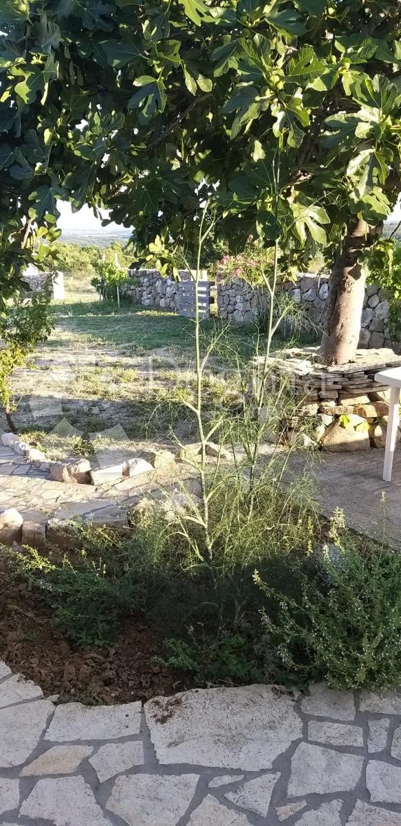 Casa Jovići, Ražanac, 32m2