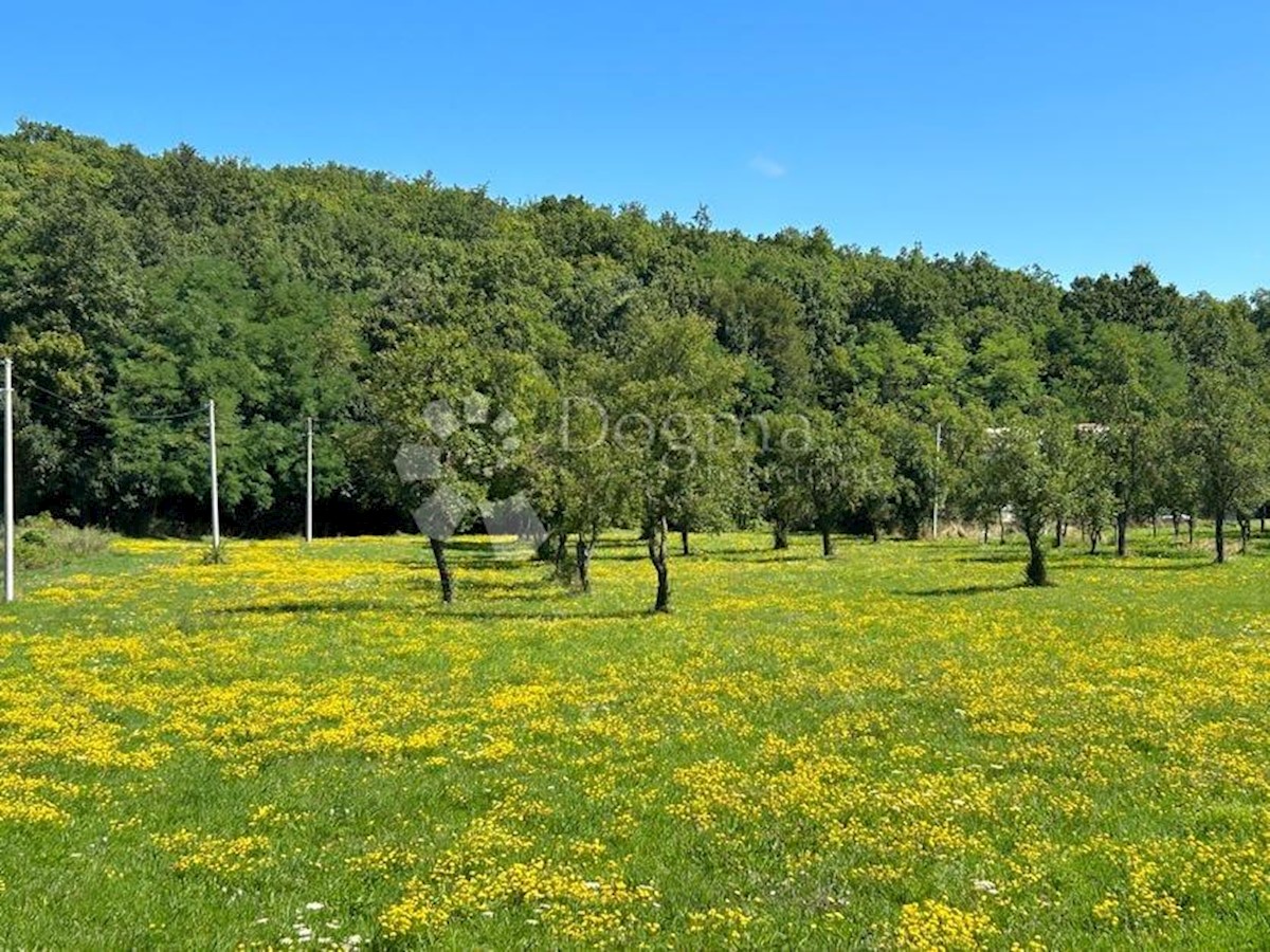Terreno Mušaluk, Gospić - Okolica, 7.000m2
