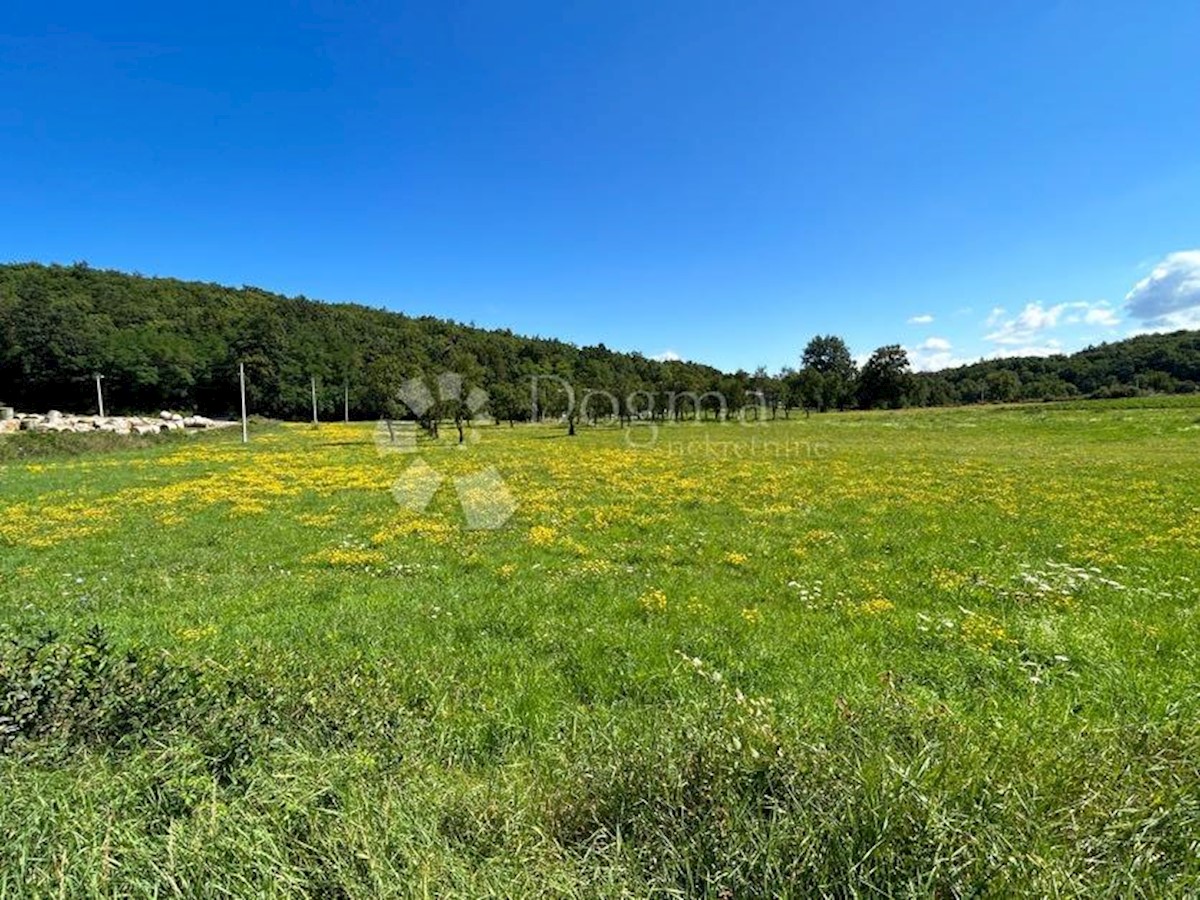 Terreno Mušaluk, Gospić - Okolica, 7.000m2