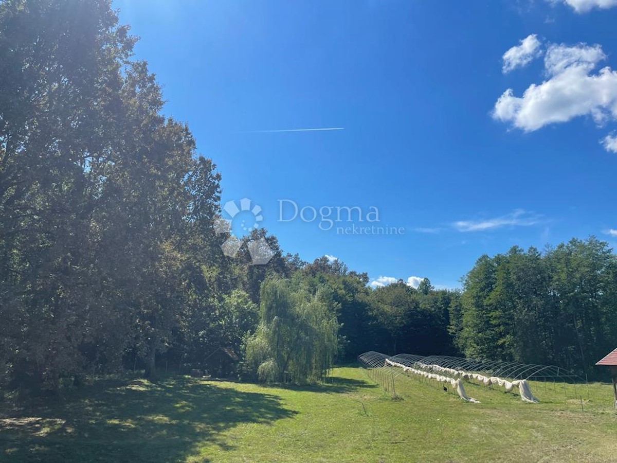 Casa Gornji Cerovljani, Hrvatska Dubica, 274m2