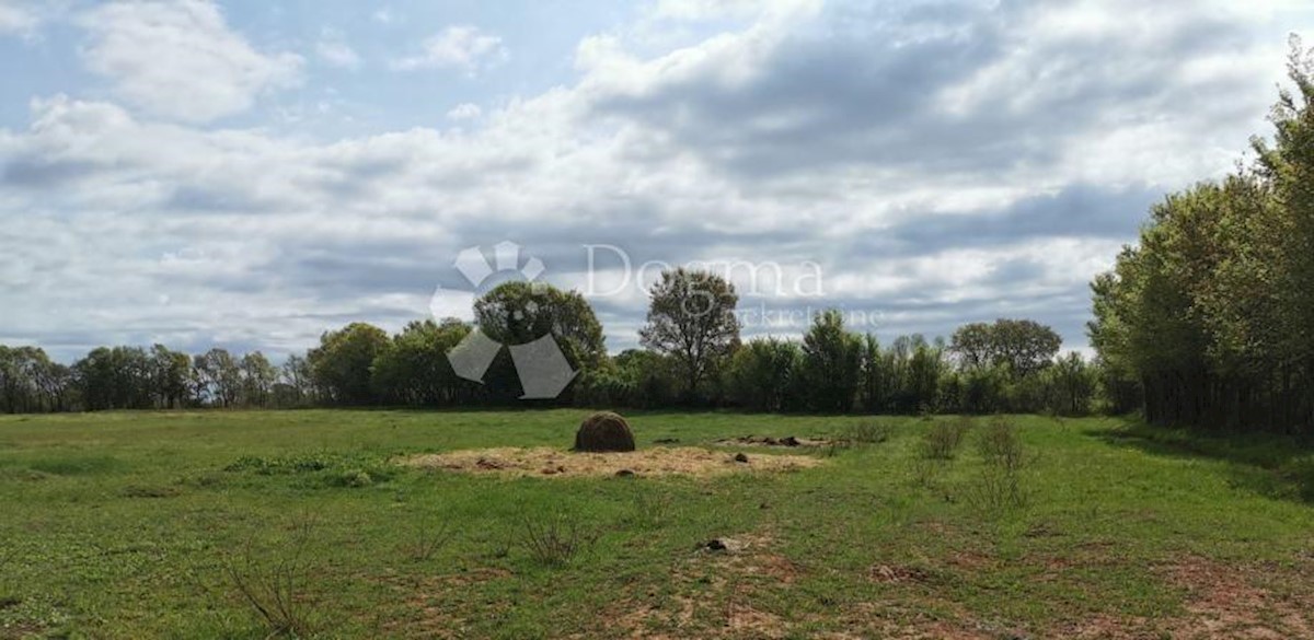 Terreno Muntić, Ližnjan, 10.504m2