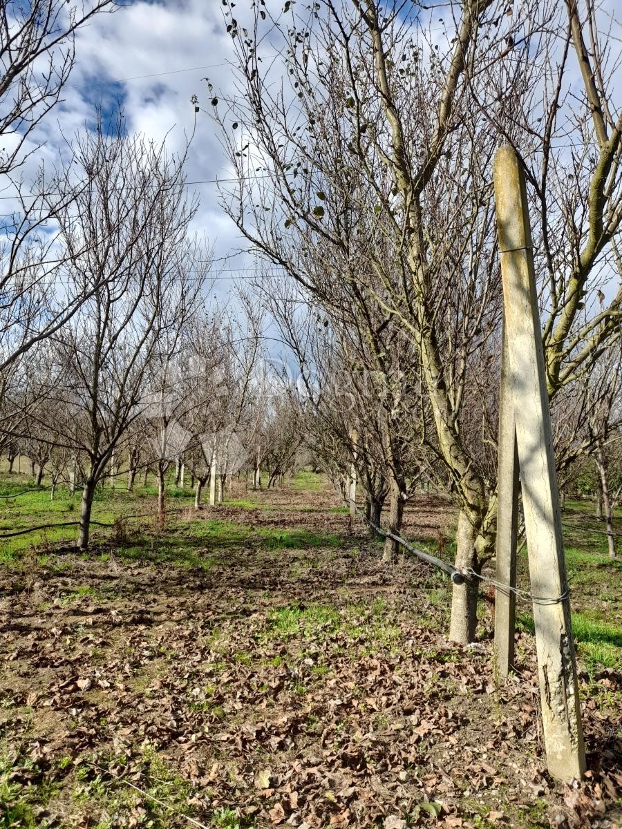 Terreno Nedelišće, 17.005m2