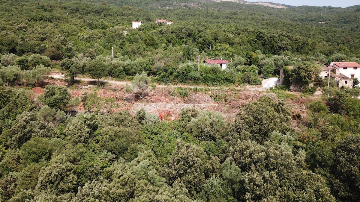 Terreno Nedešćina, Sveta Nedelja, 3.500m2