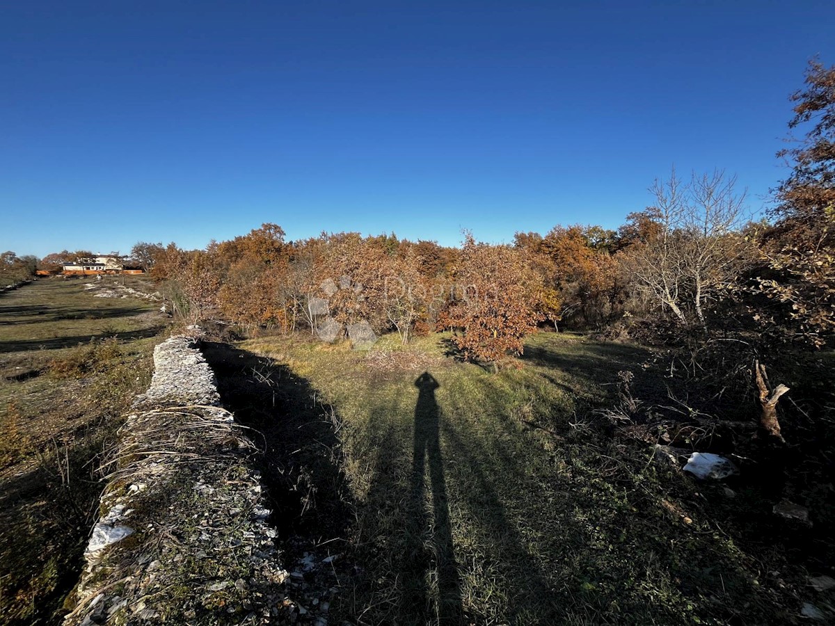 Terreno Čabrunići, Svetvinčenat, 1.031m2