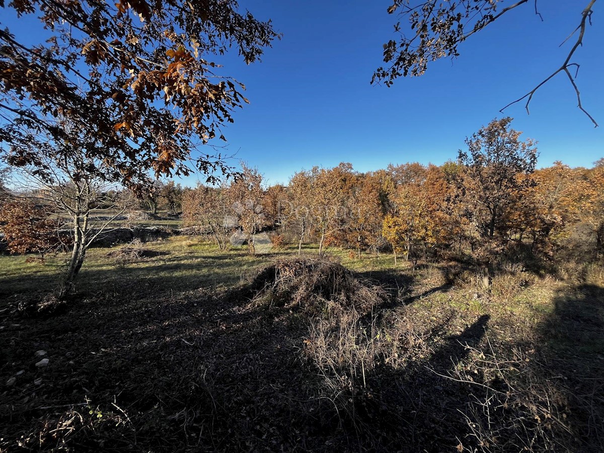 Terreno Čabrunići, Svetvinčenat, 1.031m2