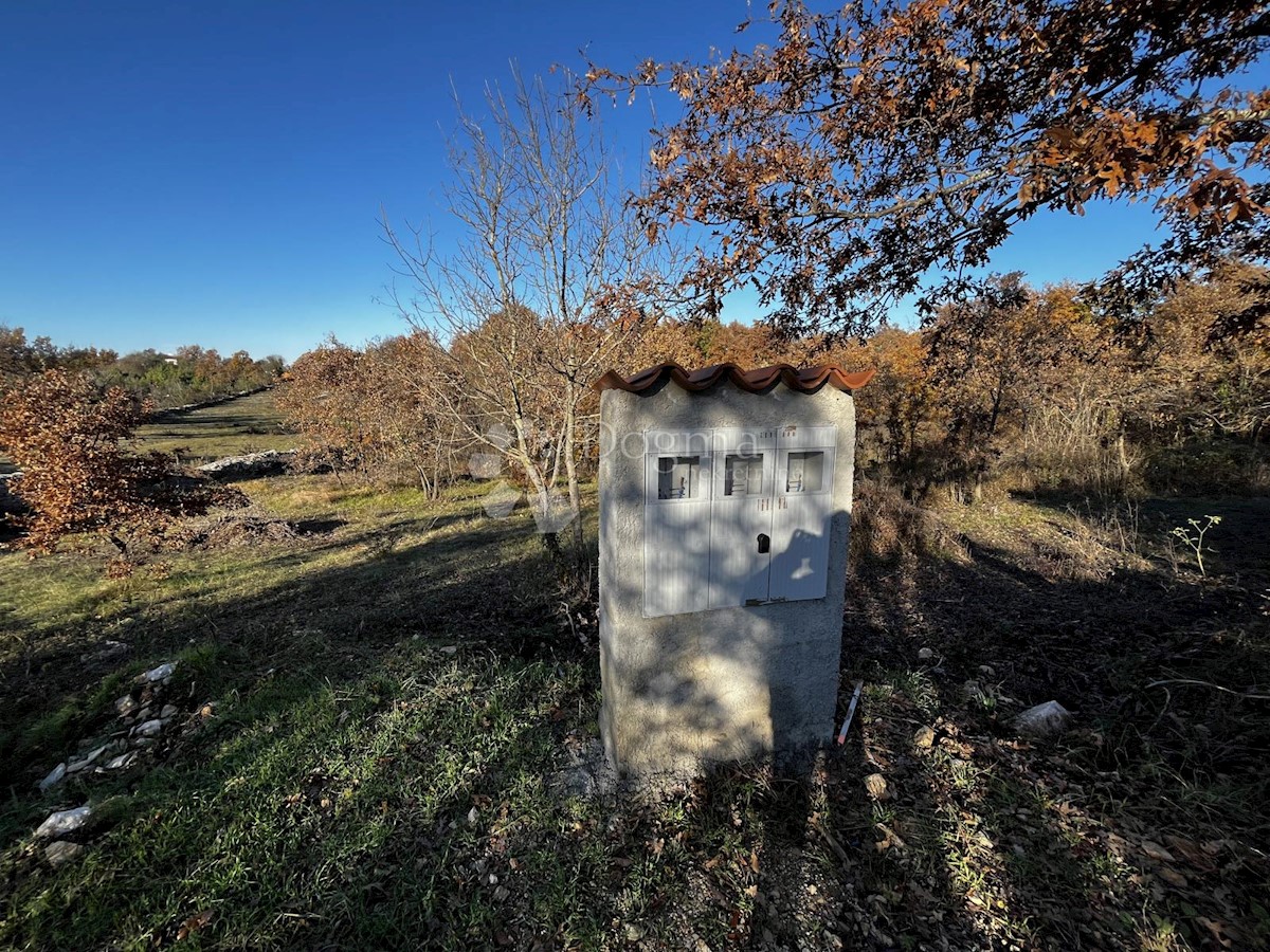 Terreno Čabrunići, Svetvinčenat, 1.031m2