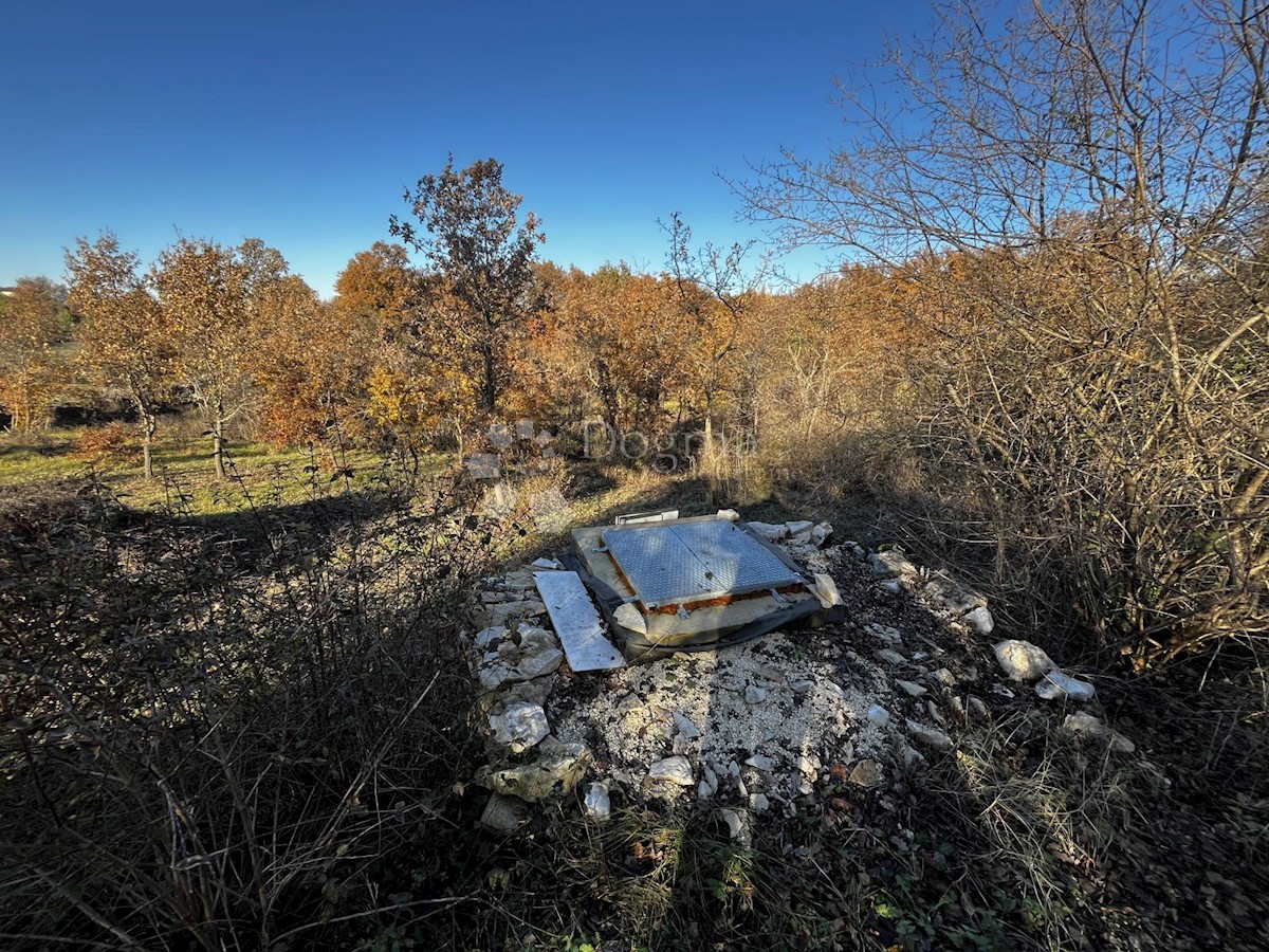 Terreno Čabrunići, Svetvinčenat, 1.031m2