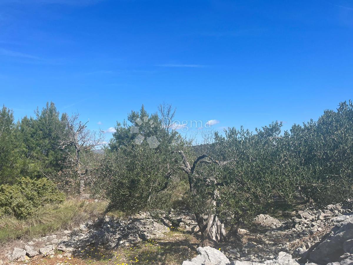 Terreno Dvornica, Rogoznica, 3.300m2