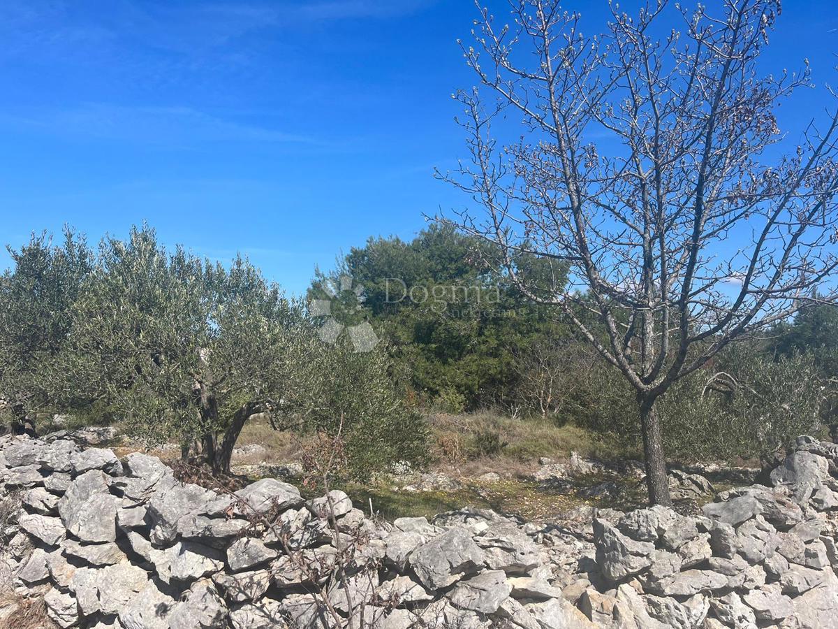 Terreno Dvornica, Rogoznica, 3.300m2