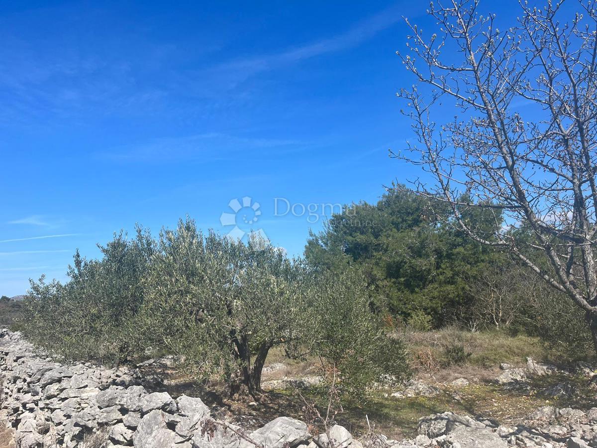 Terreno Dvornica, Rogoznica, 3.300m2