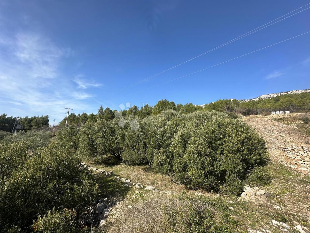 Terreno Zavala, Jelsa, 2.078m2