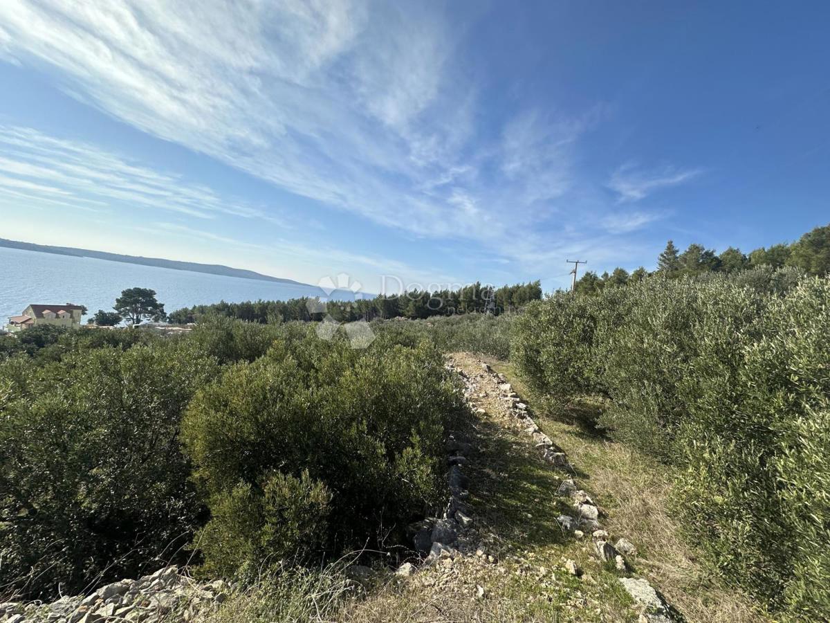 Terreno Zavala, Jelsa, 2.078m2