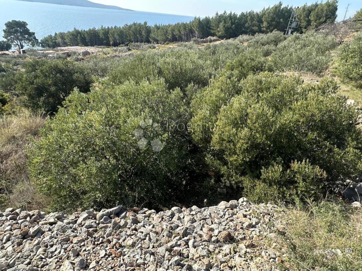 Terreno Zavala, Jelsa, 2.078m2