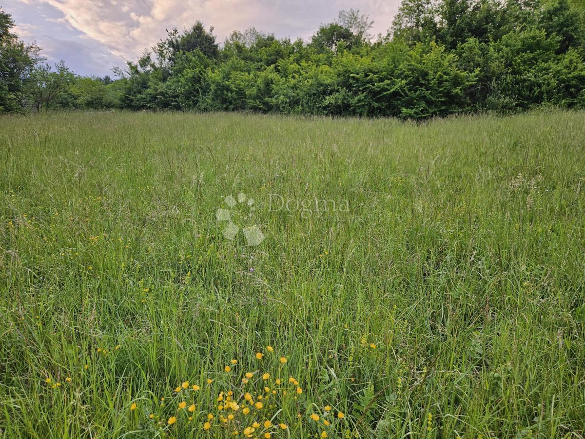 Terreno Donji Laduč, Brdovec, 2.313m2