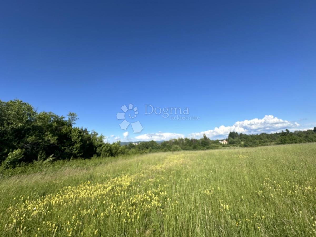 Terreno Divoselo, Gospić - Okolica, 16.312m2