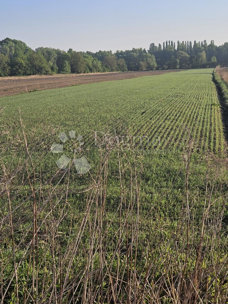 Terreno Texas, Varaždin, 5.396m2