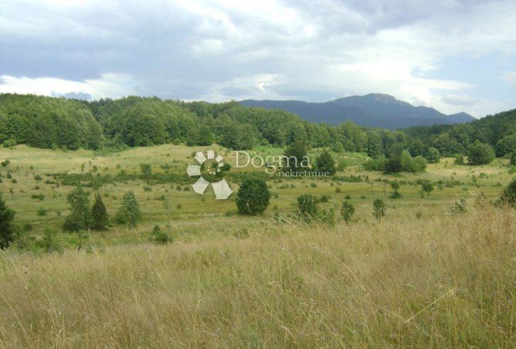 Terreno Bale, 43.000m2