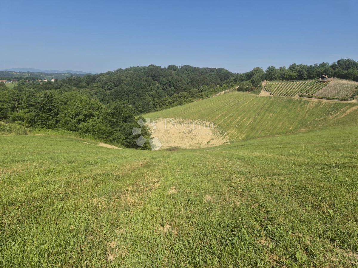 Terreno Križanče, Bedekovčina, 30.526m2