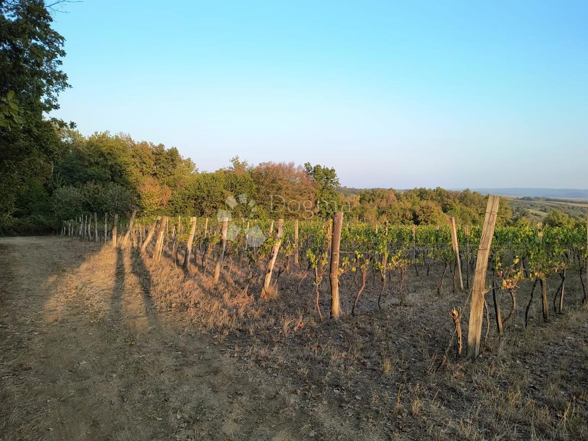 Terreno Gradište, Kutjevo, gradište, 78.505m2