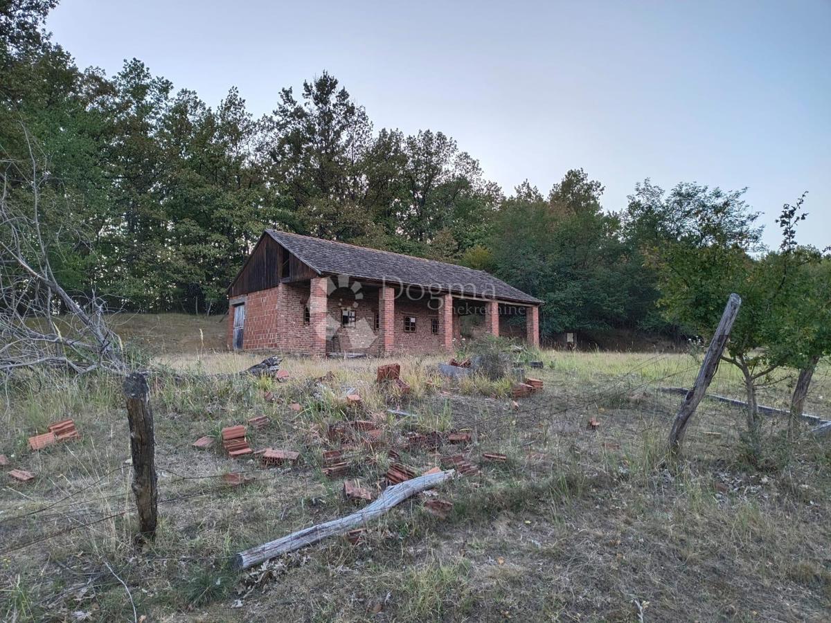 Terreno Gradište, Kutjevo, gradište, 78.505m2