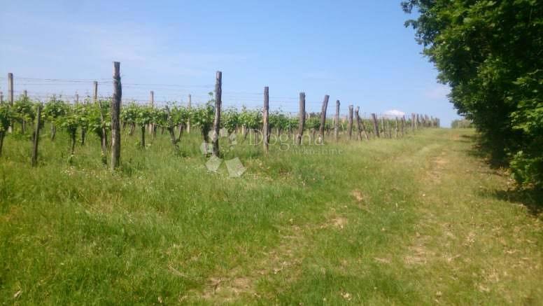 Terreno Gradište, Kutjevo, gradište, 78.505m2